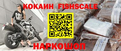 2c-b Кингисепп