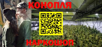 PSILOCYBIN Кинель