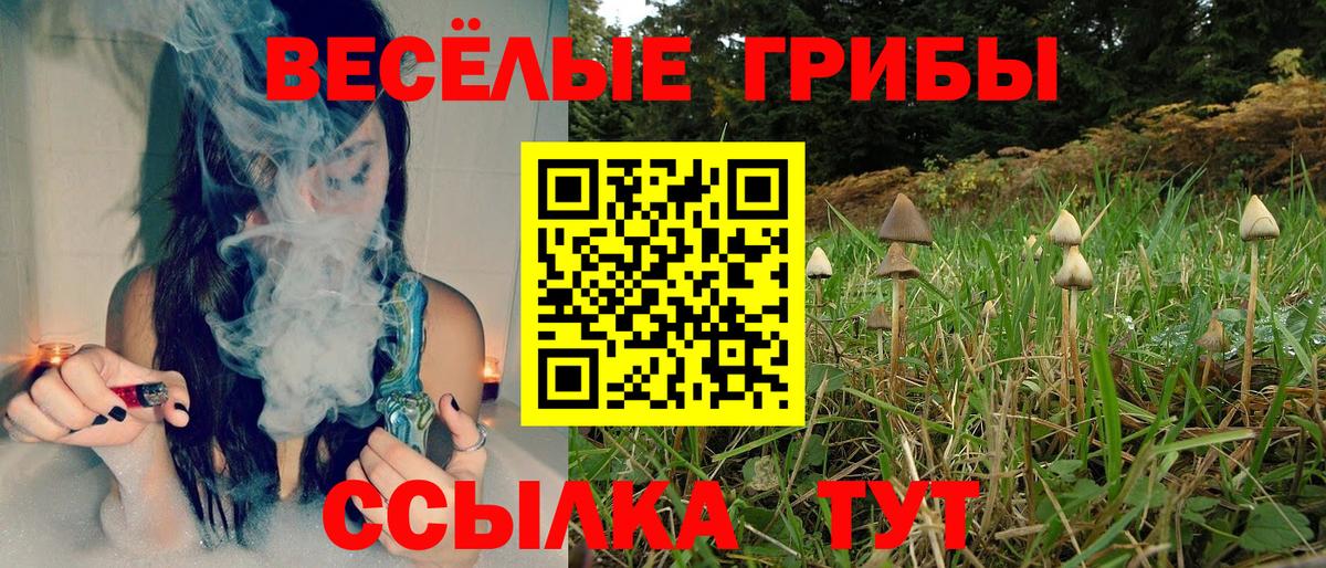 Можга  Псилоцибиновые грибы Psilocybine cubensis  Вход с VPN  Галлюциногенные грибы прущие грибы 